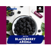 LABELLO BLACKBERRY SHINE MELT-IN MOISTURE CARING LIP BALM​ 4.8G/ 5.5 ML